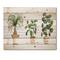 Designart - Trio of House Plants Ponytail Palm and Ficus - Traditional Print on Natural Pine Wood